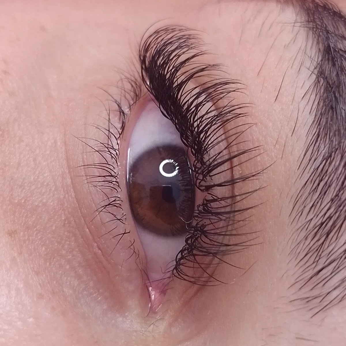 Tray Lashes, foto 3