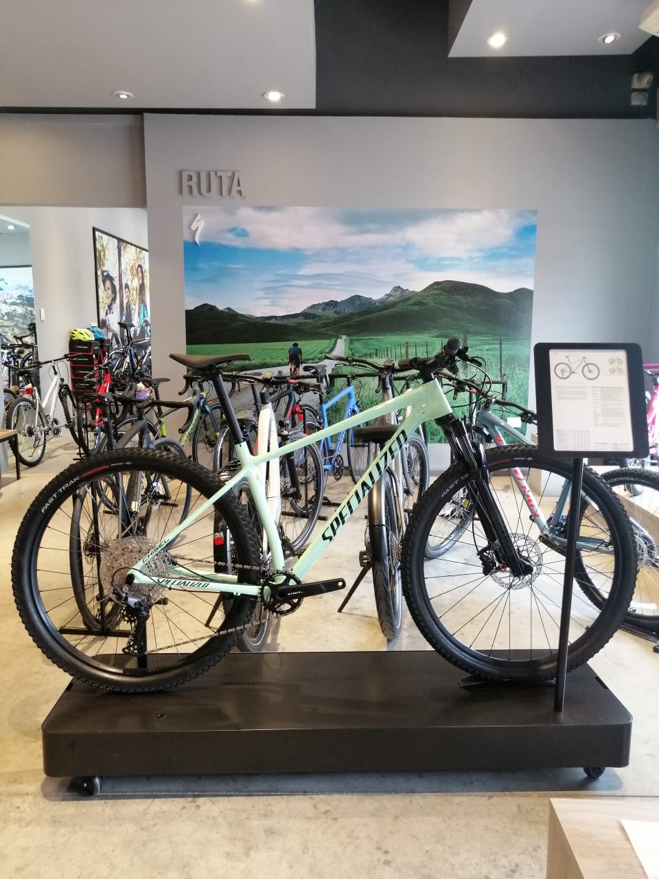 Navarro Bicis, foto 2