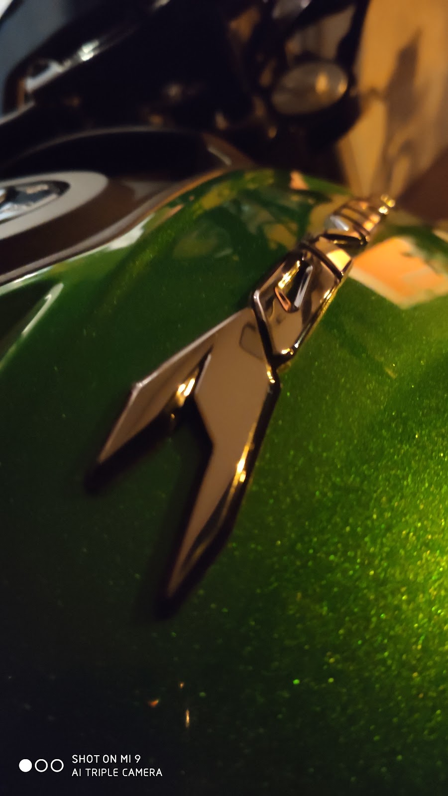 NP Style Detailing, foto 2