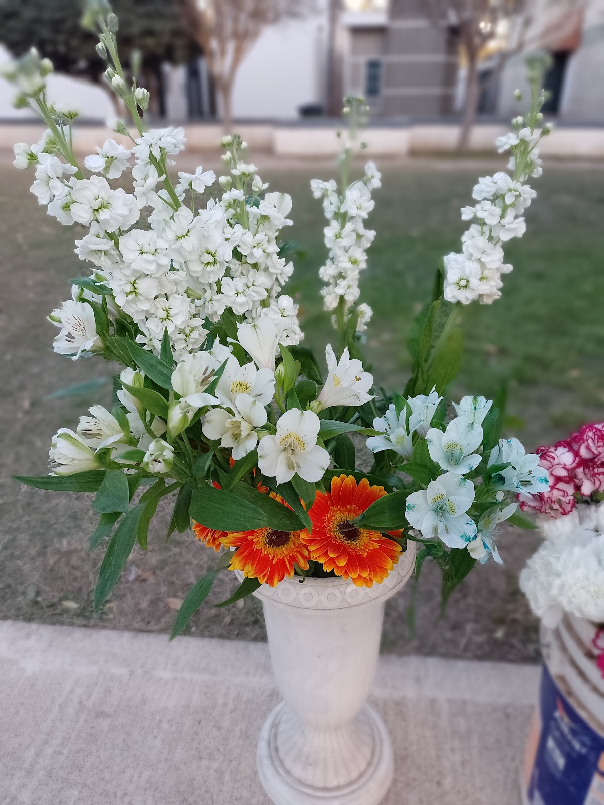 Florería Jazmín, foto 3