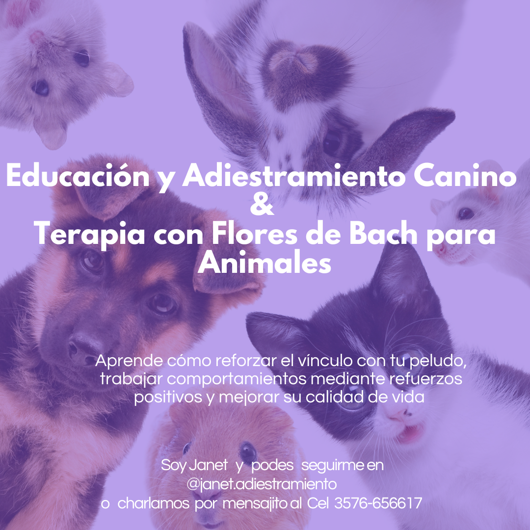 JANET@ADIESTRAMIENTO