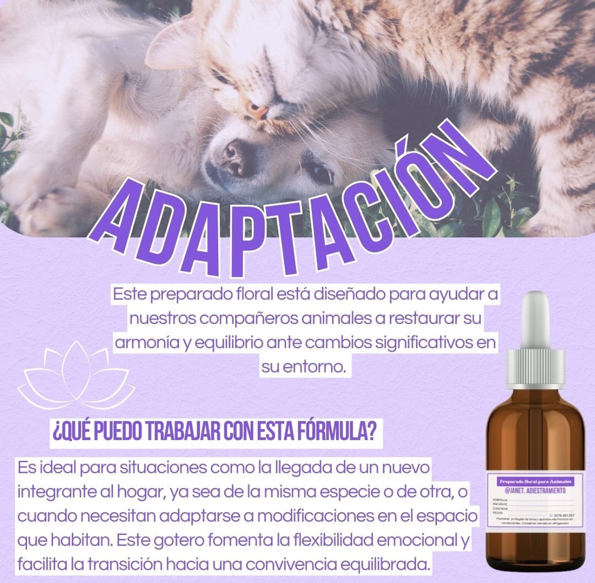 JANET@ADIESTRAMIENTO, foto 3