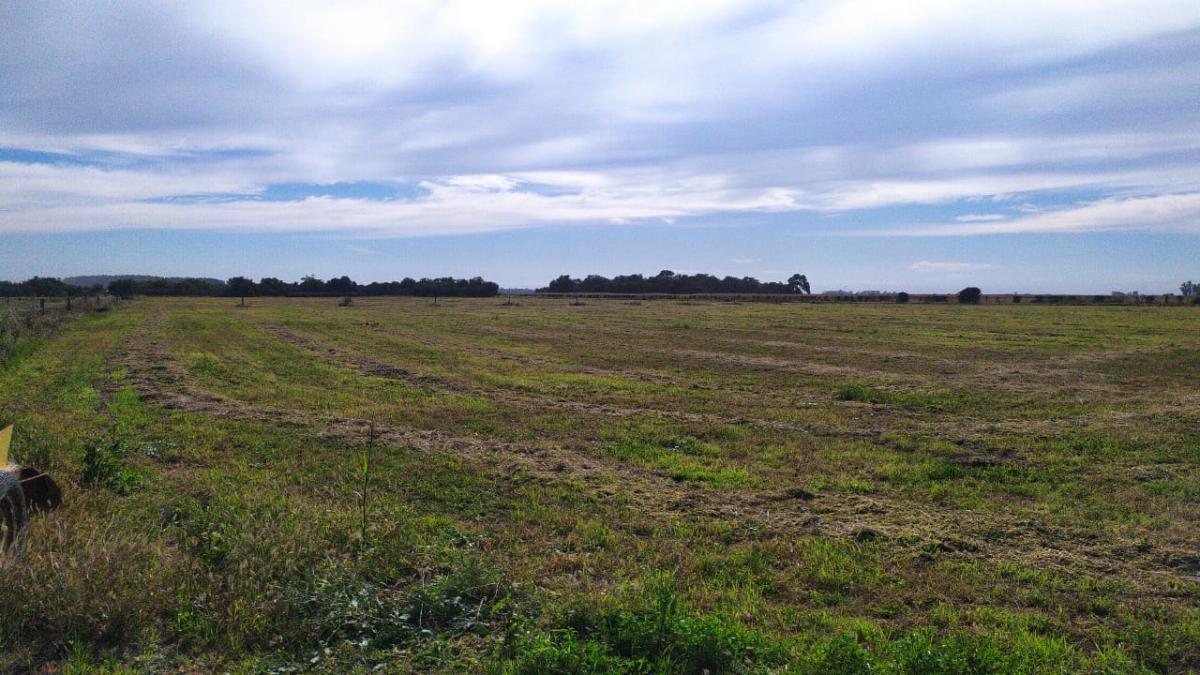 SE VENDEN TERRENOS EN EL FUERTE APTOS GALPONES O DEPOSITOS, miniatura