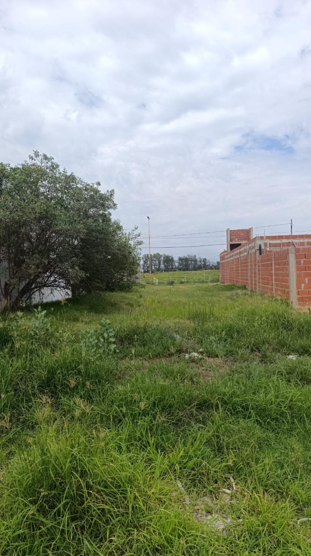 TERRENO EN VENTA - ARROYITO, miniatura